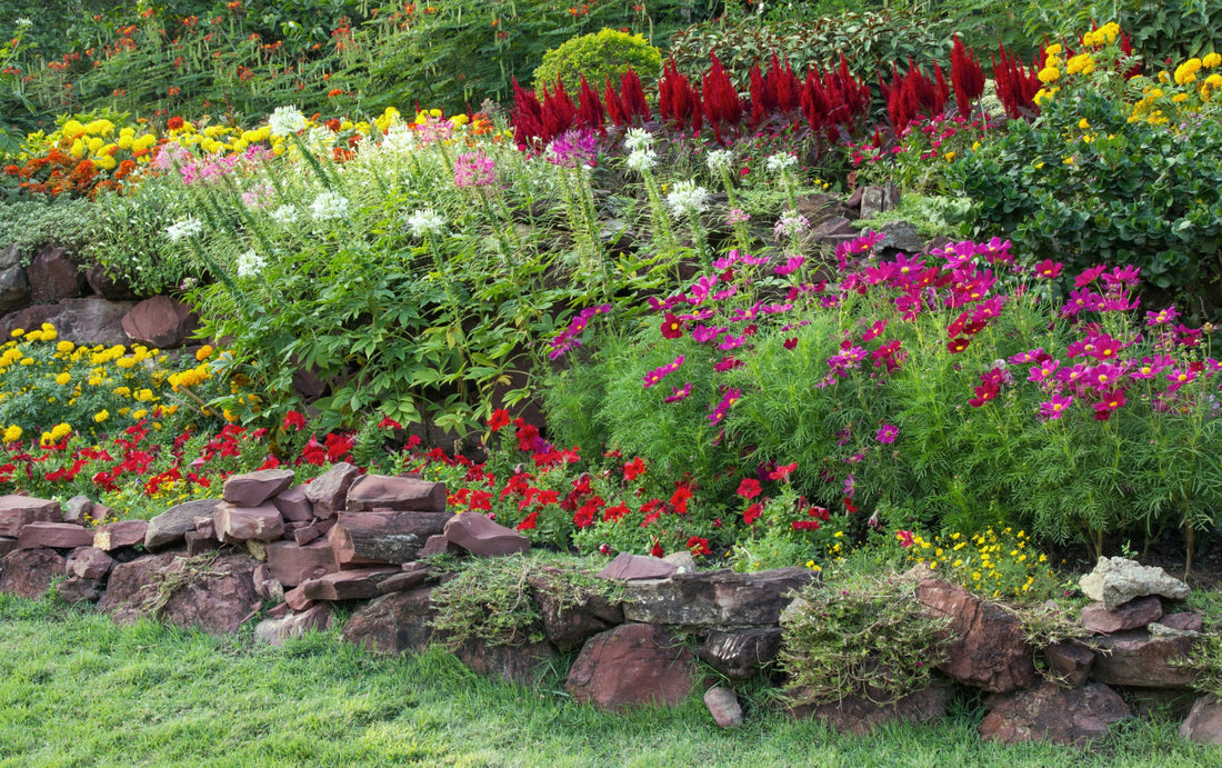 'What a beautiful garden,' they'd stop and they'd sigh...