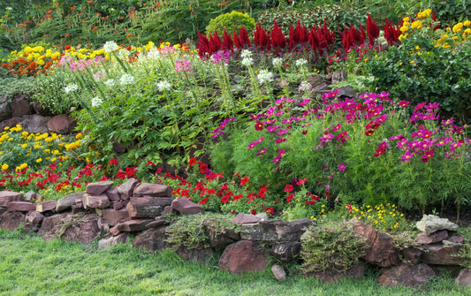 'What a beautiful garden,' they'd stop and they'd sigh...